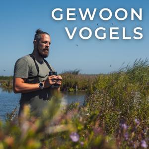 Gewoon Vogels by Timo Roeke