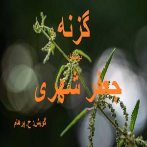 ( H. Parham گویش ) کتاب صوتی گزنه - نوشتۀ جعفر شهری by Mashale Danesh