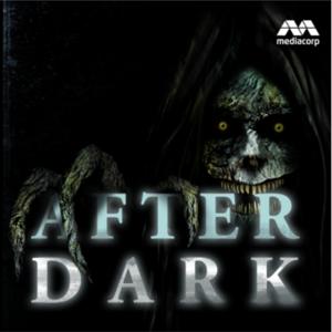 After Dark by Mediacorp