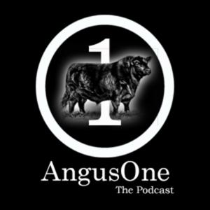 AngusOne - The Podcast