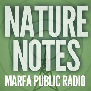 Nature Notes