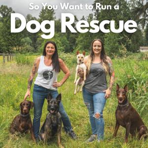 So You Want to Run a Dog Rescue by Jenny Nordin and Ashlyn Kauh