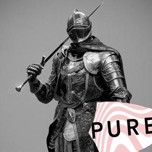 Рыцарь Пьюра / Pure Knight