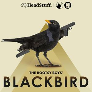 The Bootsy Boys' Blackbird by The Bootsy Boys' Blackbird