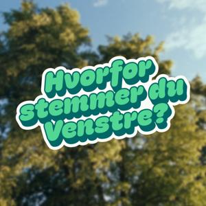 Hvorfor stemmer du Venstre?