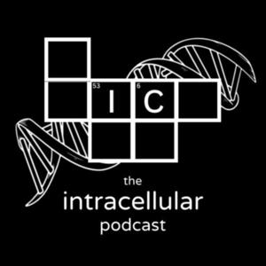 The Intracellular Podcast by Jeff Lioon