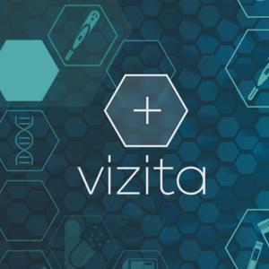 Vizita