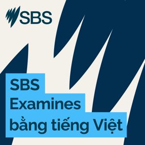 SBS Examines bằng tiếng Việt by SBS