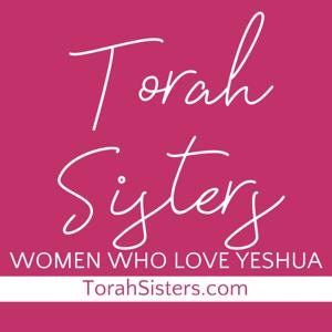Torah Sisters by Amy Kay Guenther