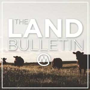 The Land Bulletin