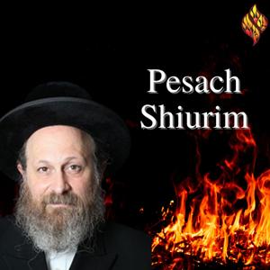 Pesach Shiurim by The Rav Moshe Weinberger Library