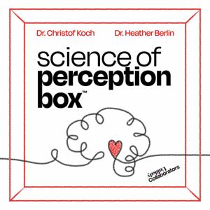 Science of Perception Box by Unlikely Collaborators | Pod People