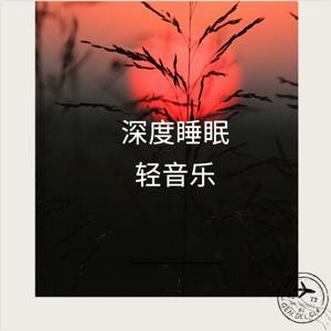 深度睡眠741HZ脑波音乐 by 睡眠空间