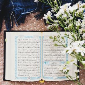 Quran - القران