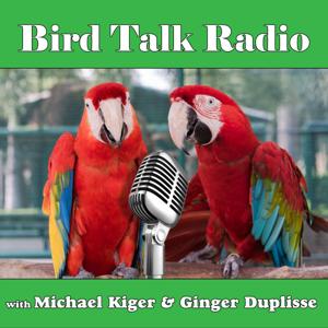 Bird Talk Radio