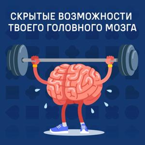 Скрытые возможности твоего головного мозга