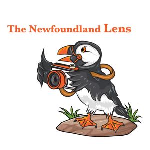The Newfoundland Lens