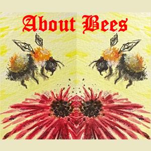 About Bees, Culture & Curiosity by Ron Miksha and Bidzina Mosiashvili
