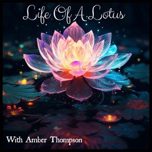 Life Of A Lotus