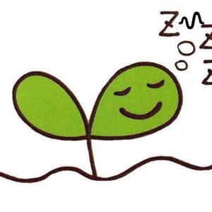 ネムノキ ラジオ