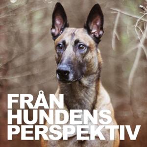 Från Hundens Perspektiv