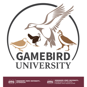 Gamebird University by Mississippi State University Extension Service