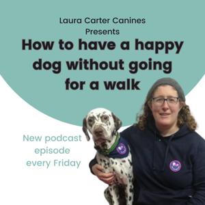 How to have a happy dog without going for a walk
