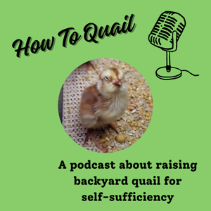 How To Quail: Your Guide to Raising Backyard Quail for Self-Sufficiency