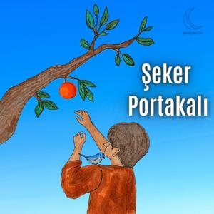Şeker Portakalı Kitap Seslendirmesi