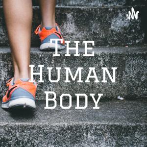 The Human Body by Aidan Bell