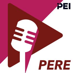 The PERE Podcast by PEI Group