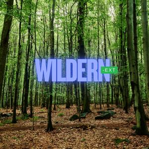Wildernext