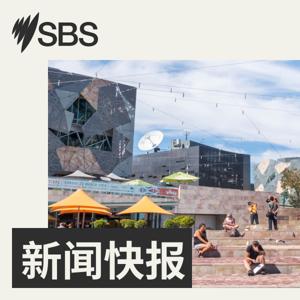 SBS 新闻快报 by SBS