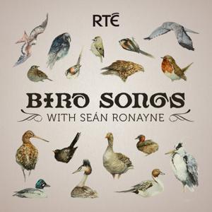 Bird Songs with Seán Ronayne