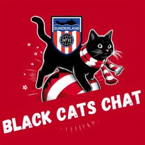 Black Cats Chat by Bilbao Black Cats