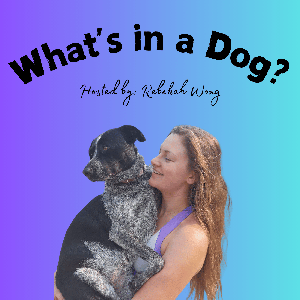 What’s in a Dog?