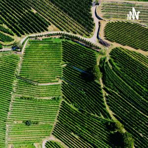 世界太大，听听自己