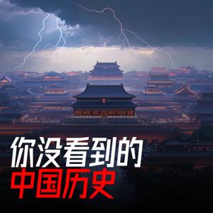 你没看到的中国历史