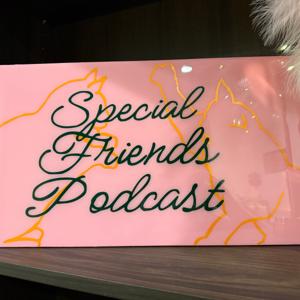 Special Friends Podcast by Special Friends Podcast