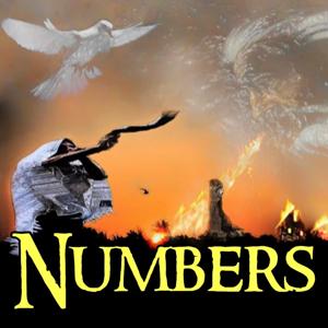 Numbers