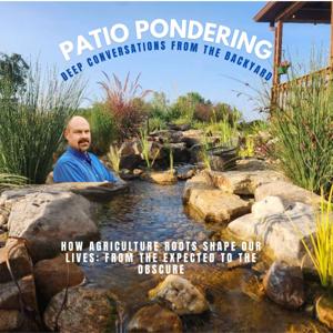 Patio Ponderings
