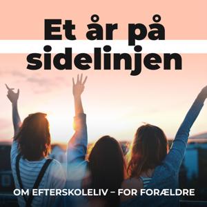 Et år på sidelinjen by Marianne Thøgersen