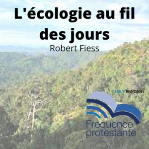 L'écologie au fil des jours by Robert Fiess