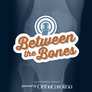 Between the Bones