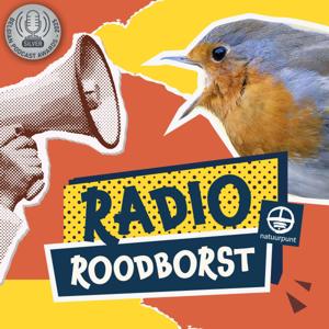 Radio Roodborst