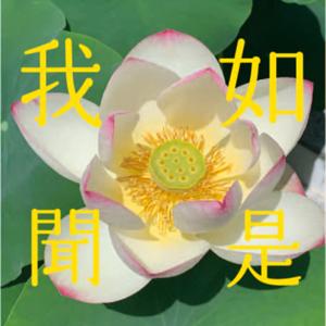 如是我聞 by Keigo Yoneda