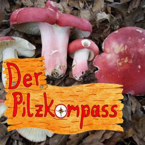 Der Pilzkompass by Marius Seiler + Tobias Traulich