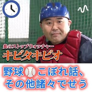 野球こぼれ話、その他諸々でせう by キビタキビオ