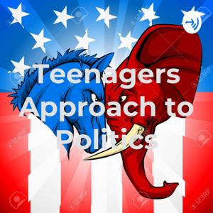 Teenager's Approach to Politics