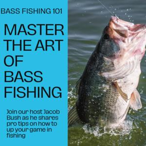 Bass fishing 101